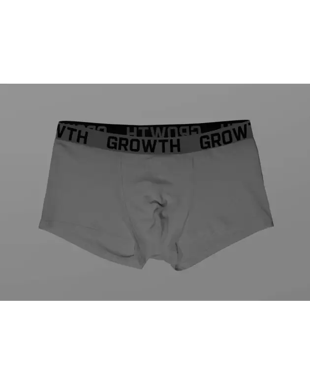 Cueca Cinza Claro Elastico Chumbo C/ Preto